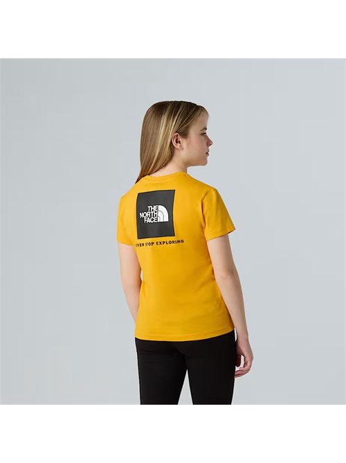  THE NORTH FACE | NF0A8EFN/56P1